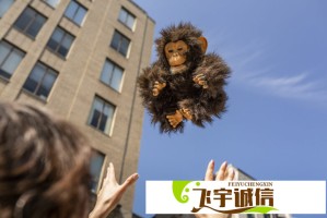 苹果股价四连跌，微软重回市值第一宝座