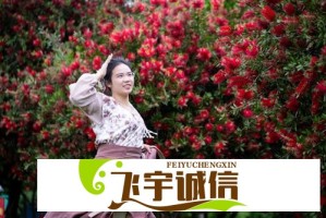唐朝诡事录之下南洋完整解析：那些不为人知的深海秘密