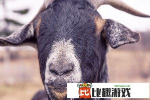 青少年自我激励的正确方式：未满十八岁必看攻略