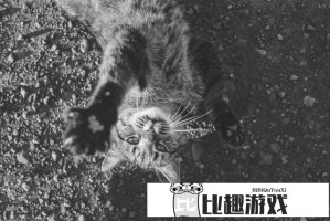 肥猪能不能别来挤地铁啊？城市交通压力下的文明出行思考