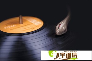 电视剧导演大会：探索网剧与传统电视剧融合发展之路