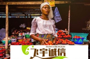 火影杀网页版：全新忍者卡牌对战游戏震撼上线！