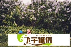 徐明浩等了很久是吧 最新动态：他的等待终于有了结果