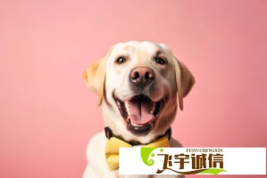 上城士赵丽颖造型解析 这些穿搭技巧你get了吗