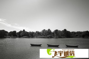 雪豹之死震动当地，环保组织要求彻查事故原因并追责