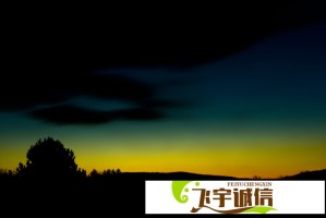 如何运用天才基本法培养孩子的数学思维？家长必看指南