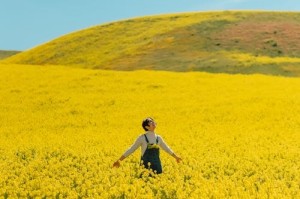 明日方舟前瞻：新干员技能爆料，强度能否超越幻神？