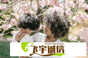 何立峰会见英国财政大臣里夫斯
