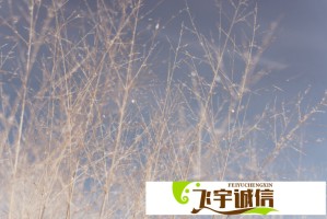 深圳兔子警官爆火出圈，市民：每天都能看到她的笑容