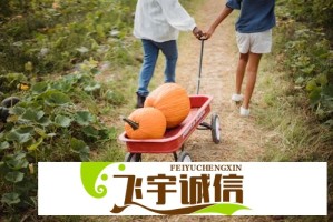 猪学长夜闯南大打卡即溜视频疯传，当事人身份成谜校方紧急排查