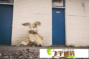 欧盟对美关税新动作：两部分征税能否改变贸易格局？