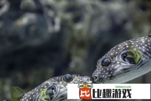 资金涌进香港市场！港元货币基金近一月收益率跌破，还能买吗？