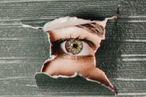 西湖猝鱼是什么？揭秘这种神秘鱼类的真相