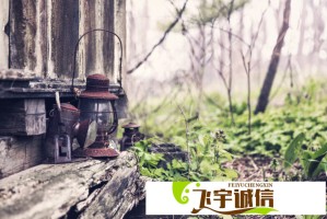 蛇年蛇月蛇日蛇时出生的人命好吗？专家深度解读