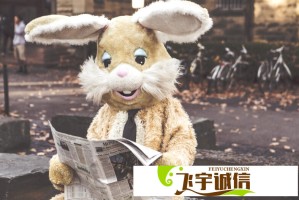 日式PPT直播制作全解析：让你的演示脱颖而出