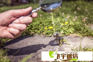 中沙合作再进一步，中国石化联手沙特阿美推进延布炼厂扩建