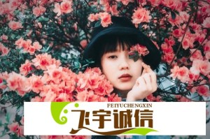 成免费CRM特色VIP服务优势：提升企业管理效率与客户关系的新选择