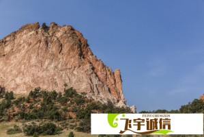 宋茜周冬雨欧阳娜娜买了同双鞋，网友：我也想拥有！