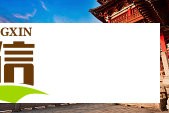 为什么说请务必坚定地支持自己？心理学家的深度解析