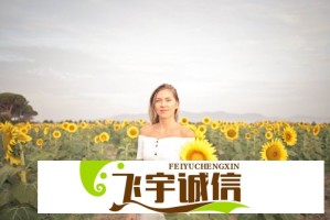 大香煮使用技巧大全，这些隐藏功能你知道吗？