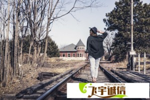 领国补就上京东：家电/汽车/消费券补贴入口汇总