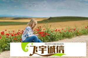 海棠文学城入口浏览器VIP会员值得买吗？这些隐藏功能你知道吗？
