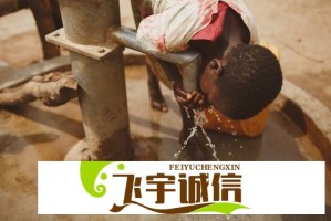 衢是什么结构？专家带你了解衢字的造字原理