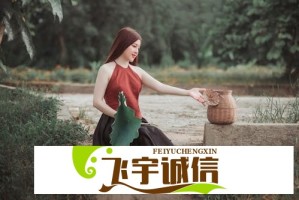卢伟冰详解雷军近况：亲自督战小米汽车，手机业务稳步提升