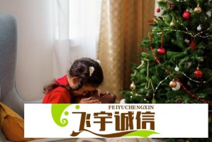 掌握理论电费计算与节省技巧，轻松降低电费支出