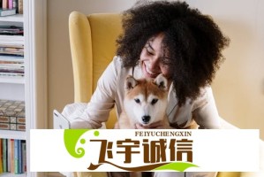拟适度减少美国电影引进背后，好莱坞魅力褪色已久
