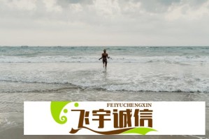 追星不该被这样情感剥削！专家揭露偶像产业黑暗面