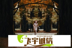特朗普回应股市崩盘：市场动荡背后，贸易战影响有多大？