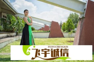 网站安全必备！免费网站安全软件大全及使用指南