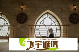 虞书欣新代言剪影细节分析：从剪影轮廓看可能是顶奢品牌