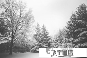 海棠文学网站入口安全吗？访问前必看的注意事项