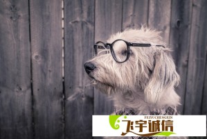 为什么甲亢哥能火？揭秘他镜头下的真实中国