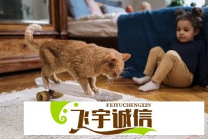 孙颖莎：日本选手进步神速 中国队需针对性研究战术打法