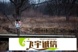 沉香收藏必知：一线产区和二线产区的品质差异全解析