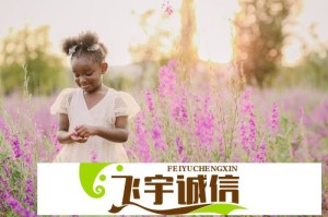 日本三线品牌与韩国三线品牌市场对比分析：价格、创新与消费者偏好差异