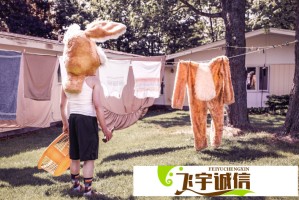 杨和苏演唱会门票价格曝光，性价比超高引疯抢