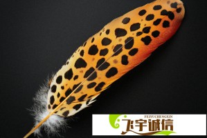 小米员工晚餐仅需元？全球总部食堂实探