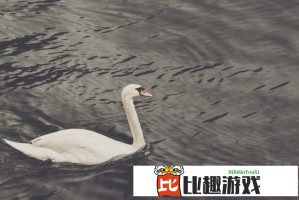 bbbbb的未来发展趋势：科技巨头如何布局bbbbb市场