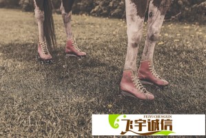 世俱杯观察：争议与新意，国际足联能否再造世界杯？