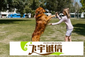 鸟鸟听说能骂志胜就来了，网友：太解气了！