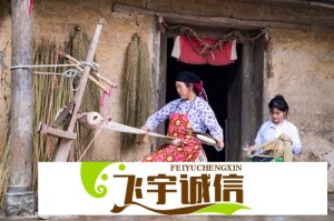 WordPress成品网站建站成本大揭秘：到底需要多少钱？