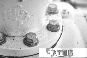 燃脂喝水时间表曝光！医生推荐的最佳喝水时段