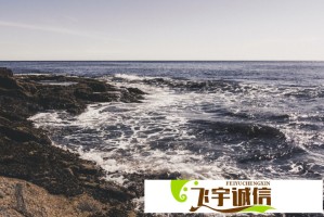 永野芽郁公开道歉后，代言品牌是否会受影响？