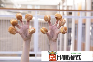 王芳的大团圆结亲情会，教你如何维系家庭关系