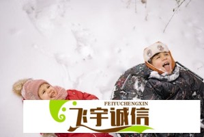 Gemini突然停播引猜测，背后原因令人意外