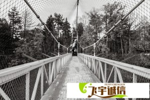 三个男人的聚会：分享生活趣事与成长经验的精彩时刻